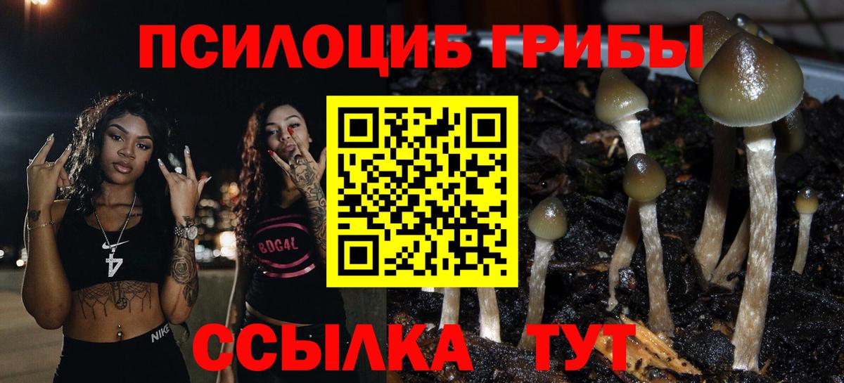 Псилоцибиновые грибы MAGIC MUSHROOMS  Вход с VPN  Галлюциногенные грибы MAGIC MUSHROOMS  Белорецк 